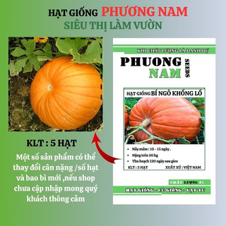 5 Hạt- Hạt Giống Bí Ngô Khổng Lồ Phương Nam