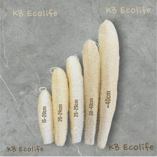 Xơ Mướp Nguyên Trái Lành Tính KB Ecolife Hoàn Toàn Tự Nhiên Không Chất Tẩy Trắng Và Hóa Chất Độc Hại