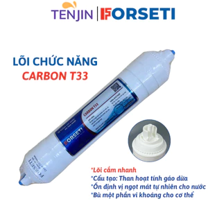 Lõi Chức Năng Carbon T33 FORSETI Cấu Tạo Than Hoạt Tính Gáo Dừa Tạo Vị Ngọt Cho Nước Và Bù Một Phần Vi Khoáng Cho Cơ Thể
