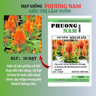 10 Hạt - Hạt Giống Hoa Mào Gà Lửa Cam Lùn F1 Phương Nam