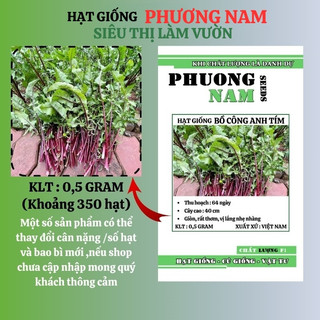 0,5 Gram - Hạt Giống Bồ Công Anh Tím Phương Nam