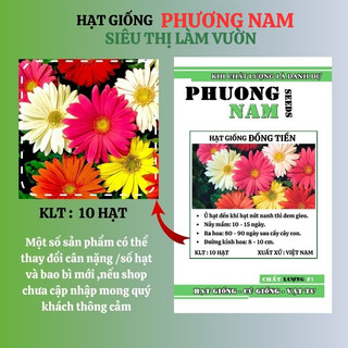 10 Hạt - Hạt Giống Hoa Đồng Tiền Mix Phương Nam