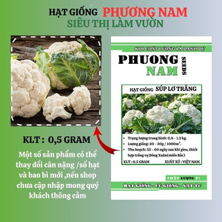 0,5 Gr - Hạt Giống Súp Lơ Trắng F1 Chịu Nhiệt Phương Nam