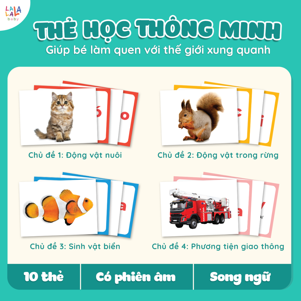 Bộ thẻ học thông minh Flashcard Glenn Doman đồ chơi giấy cho bé sơ sinh đồ chơi giáo giục sớm Lalala baby