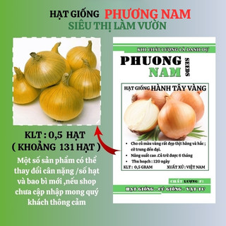 0,5 Gr - Hạt Giống Hành Tây Vàng Phương Nam