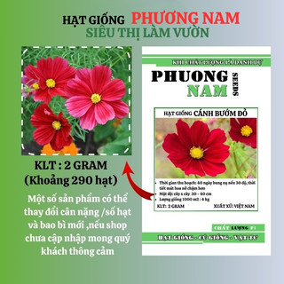 2 Gram - Hạt Giống Hoa Sao Nhái Cánh Bướm Đỏ Phương Nam