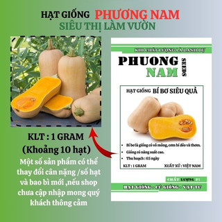 10 Hạt - Hạt Giống Bí Bơ Siêu Trái Mỹ Phương Nam