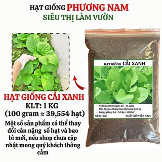 1 Kg - Hạt Giống Cải Xanh Phương Nam
