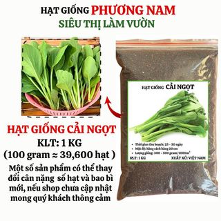 1 Kg - Hạt Giống  Cải Ngọt Phương Nam