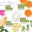 Tree to Tub Kem dưỡng chống lão hóa Retinol Ginseng & Green Tea 50ml