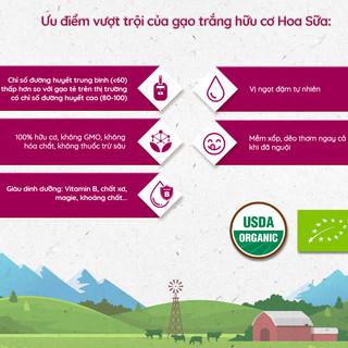 [MUA 2 GIẢM 5%] Gạo trắng hữu cơ ST25 Hoa Sữa, Hoa Nắng