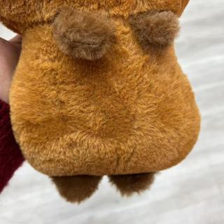 Gấu bông Cabybara dễ thương 20-25cm tiện lợi làm quà tặng giao từ kho Hà Nội