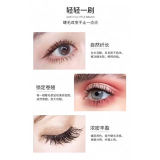 Combo Bộ Makeup Mắt 4Pcs Cơ Bản Đơn Giản Xinh Lung Linh