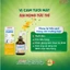 Xịt Họng Otosan Throat Forte Vị Cam Mật Ngọt Giảm Ho, Giảm Đau Rát, Ngứa Họng Nhập Khẩu Lọ 30ml