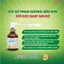 Xịt Họng Otosan Throat Forte Vị Cam Mật Ngọt Giảm Ho, Giảm Đau Rát, Ngứa Họng Nhập Khẩu Lọ 30ml