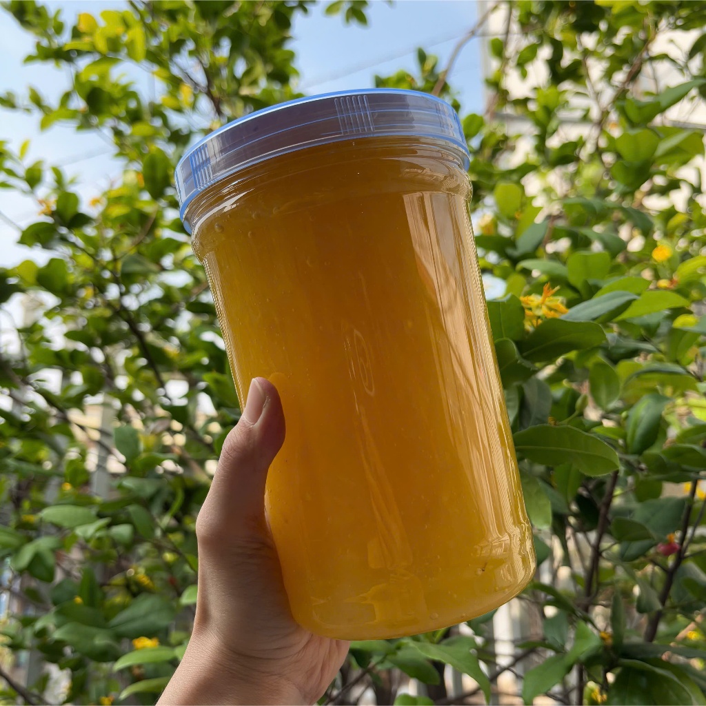 Nhân mứt Khóm, Mứt Dâu, Mứt Việt Quất (có xác trái cây) Phú Thương hủ 1.5kg làm nhân bánh kem, bánh ngọt