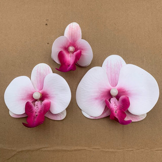 combo 5 kẹp tóc hoa lan hồ điệp ngọc cánh su khô-size nhỡ 9-10cm và size to 11cm , size nhỏ 5cm #cặp_tóc_hoa_lan_hồ_điệp