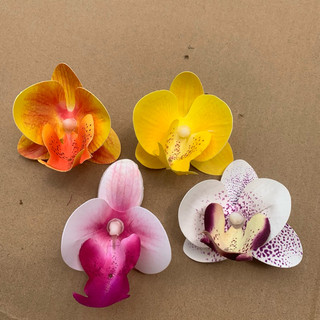 combo 5 kẹp tóc hoa lan hồ điệp ngọc cánh su khô-size nhỡ 9-10cm và size to 11cm , size nhỏ 5cm #cặp_tóc_hoa_lan_hồ_điệp