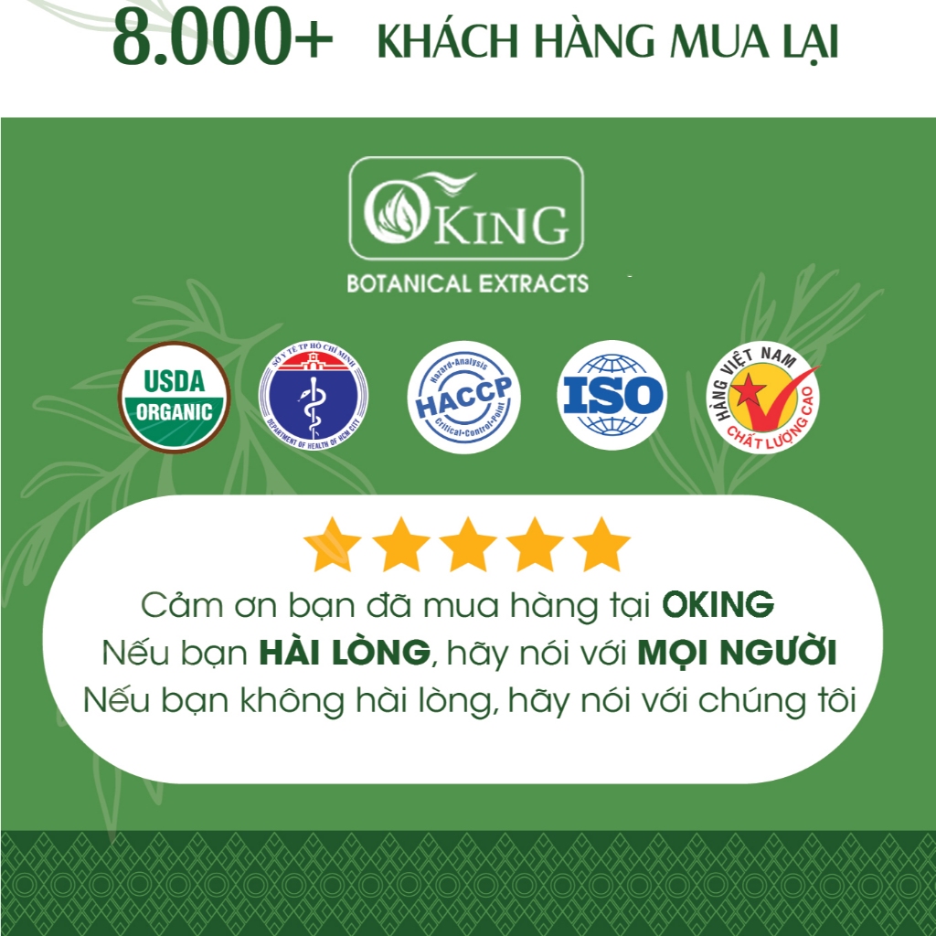Tinh dầu Thông nguyên chất (Pine) 10ml | Oking Việt Nam