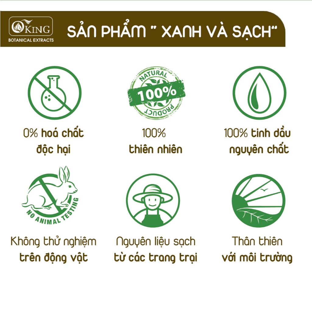 Tinh dầu Thông nguyên chất (Pine) 10ml | Oking Việt Nam