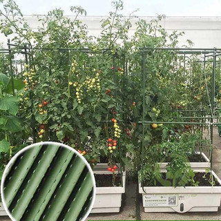 (tặng dây rút )Ống thép bọc nhựa dùng làm cây đỡ hoa hồng, làm giàn cỡ 11mm dài 60cm, 75cm, 90cm , 120cm ,150cm,180cm