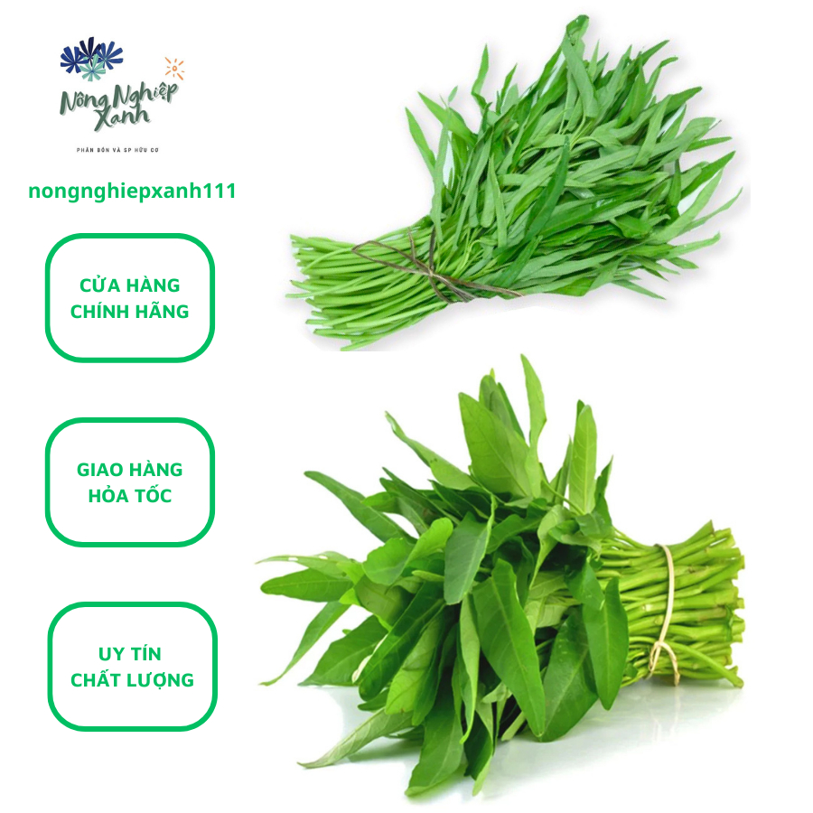 Hạt giống rau muống lá tre, rau muống lá to gói 50gr | Shopee Việt Nam