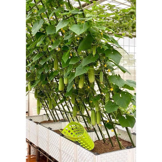 (tặng 1 kẹp sắt )Combo 10 Ống thép bọc nhựa dùng làm cây đỡ hoa hồng, làm giàn cỡ 11mm dài 90cm , 120cm ,150cm,180cm