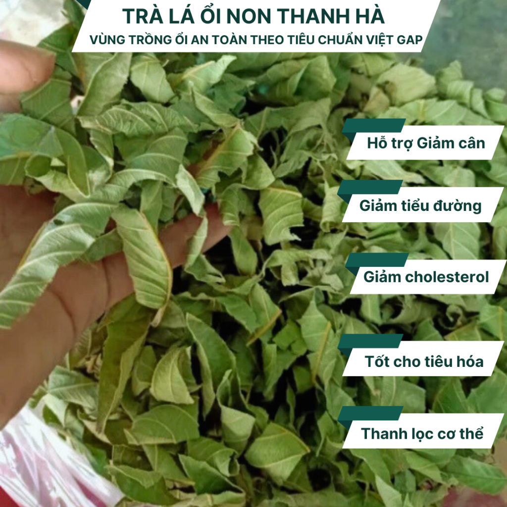 Lá Ổi Non 1Kg Cắt Nhỏ Loại 1 – Ổi Khô Nguyên Chất, Hỗ Trợ Giảm Cân & Tiểu Đường
