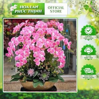 COMBO 10 cành Lan hồ điệp su 9b thân thường  100cm nhân tạo , nhuỵ cao su non , lan su 9b thân thường trang trí cao cấp