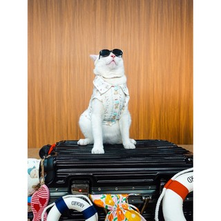 ÁO SƠ MI THÚ CƯNG SÁT NÁCH HOẠ TIẾT GẤU XANH