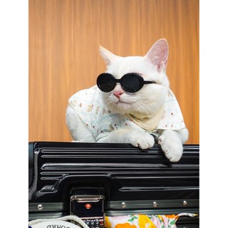 ÁO SƠ MI THÚ CƯNG SÁT NÁCH HOẠ TIẾT GẤU XANH