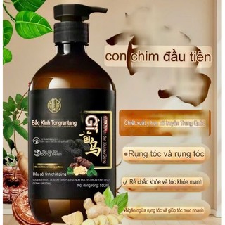Dầu gội mẫu hót nhất 'LINH CHI ĐEN nhân sâm   ĐỒNG NHÂN ĐỪỜNG