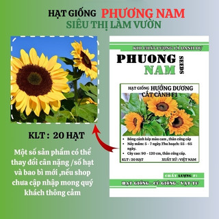 20 Hạt - Hạt Giống Hoa Hướng Dương Cắt Cành ( Nhụy Đen) - F1- Op Phương Nam