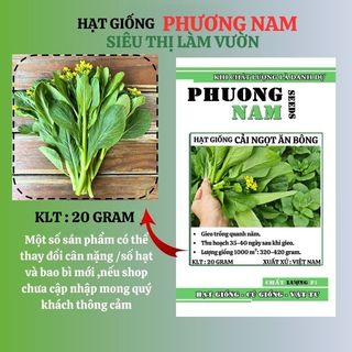 5 Gram - Hạt Giống Cải Ngọt Ăn Bông Thái Phương Nam