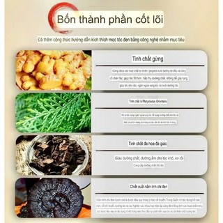 Dầu gội mẫu hót nhất 'LINH CHI ĐEN nhân sâm   ĐỒNG NHÂN ĐỪỜNG