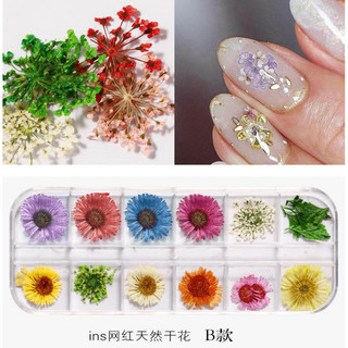 Hoa khô làm ẩn , trang trí móng