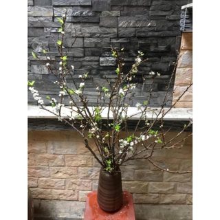 Bình Cắm Hoa Dáng Đu Đủ Gốm Mộc Thiết Kế Cổ Điển Decor Phòng Size To