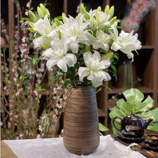 Bình Cắm Hoa Dáng Đu Đủ Gốm Mộc Thiết Kế Cổ Điển Decor Phòng Size To