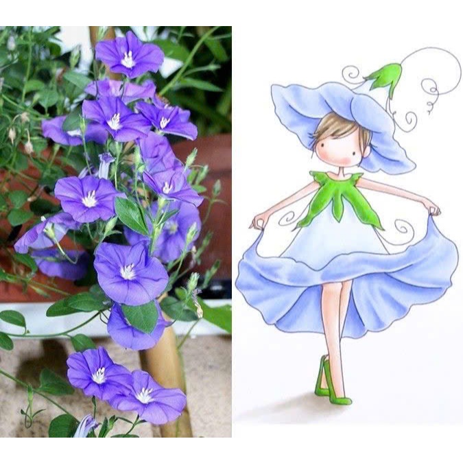 Bộ 14 tranh tô màu FLOWER BABY  khác nhau không trùng lặp cho bạn thỏa sức sáng tạo