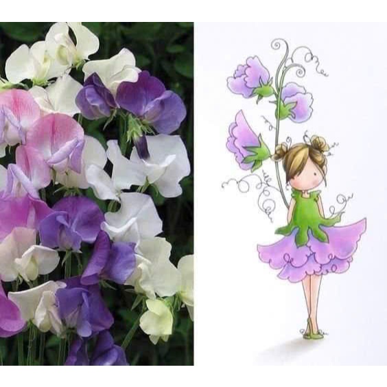 Bộ 14 tranh tô màu FLOWER BABY  khác nhau không trùng lặp cho bạn thỏa sức sáng tạo