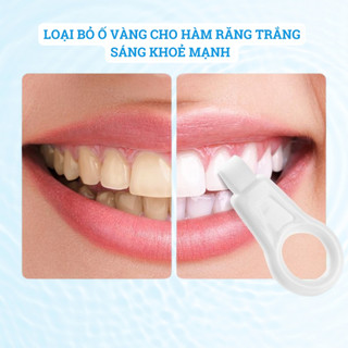 Miếng Bọt Biển Làm Sạch Răng Trẻ Em Và Người Lớn, Loại Bỏ Ố Vàng, Cho Hàm Răng Trắng Sáng Khoẻ Mạnh.