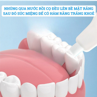 Miếng Bọt Biển Làm Sạch Răng Trẻ Em Và Người Lớn, Loại Bỏ Ố Vàng, Cho Hàm Răng Trắng Sáng Khoẻ Mạnh.