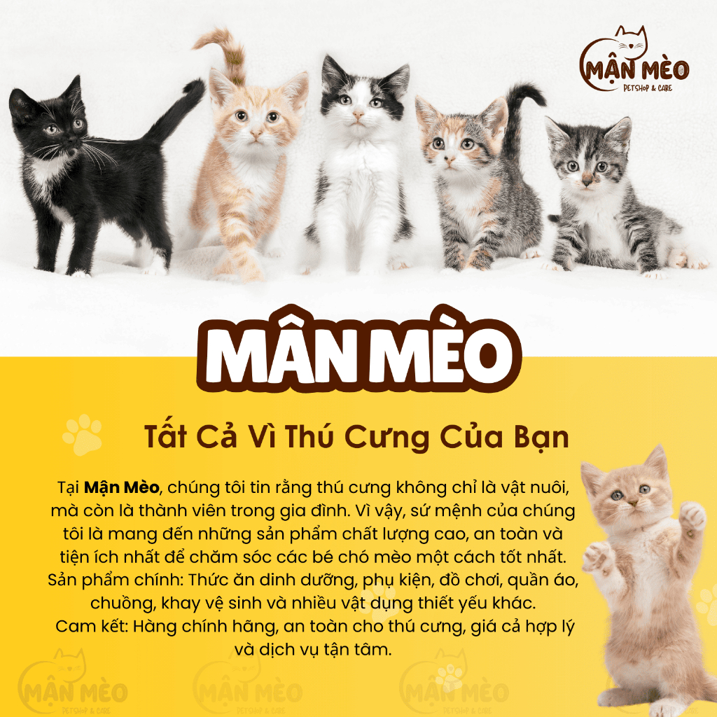 Hạt LANGLIKE thức ăn cho mèo 5kg chứa 40% Protein, 20% topping không độn ngũ cốc cùng thịt sấy