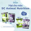 Hạt cho mèo SC Aninal Nutrition siêu topping 42% protein hỗ trợ tiêu hóa, không độn ngũ cốc