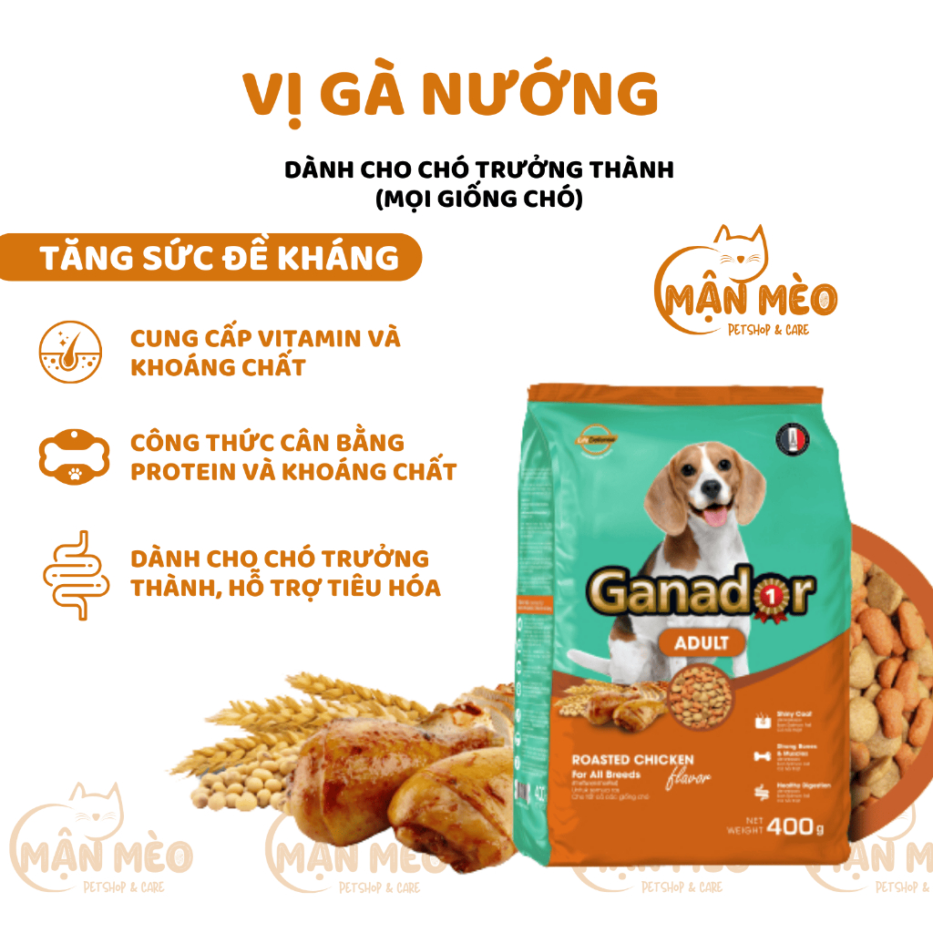 Hạt ganador cho chó gà nướng, dha, trứng sữa, cá hồi, cừu, bò nướng 3kg hỗ trợ tiêu hóa, xương chắc khỏe