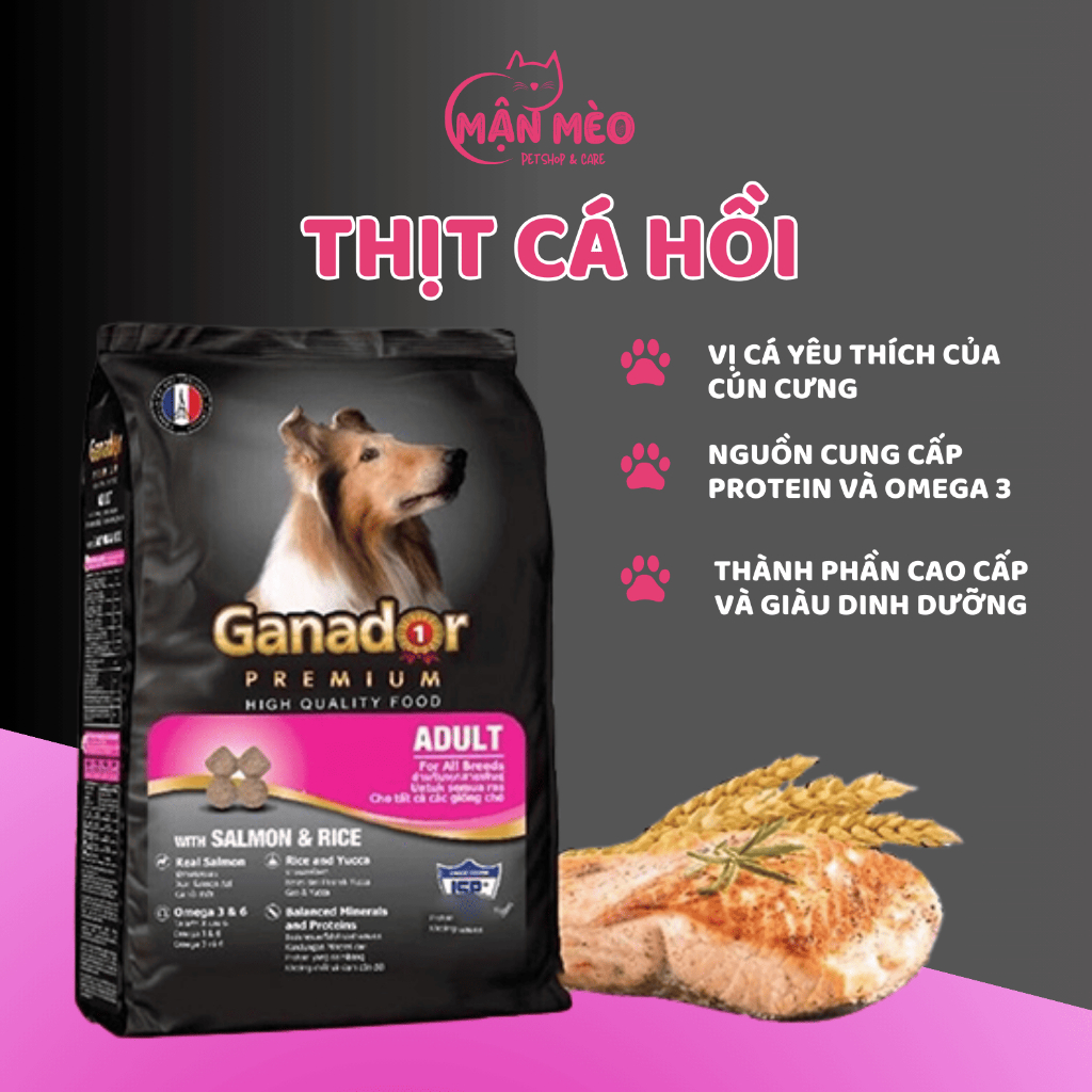 Hạt ganador cho chó gà nướng, dha, trứng sữa, cá hồi, cừu, bò nướng 3kg hỗ trợ tiêu hóa, xương chắc khỏe