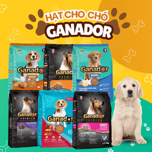 Hạt ganador cho chó gà nướng, dha, trứng sữa, cá hồi, cừu, bò nướng 3kg hỗ trợ tiêu hóa, xương chắc khỏe
