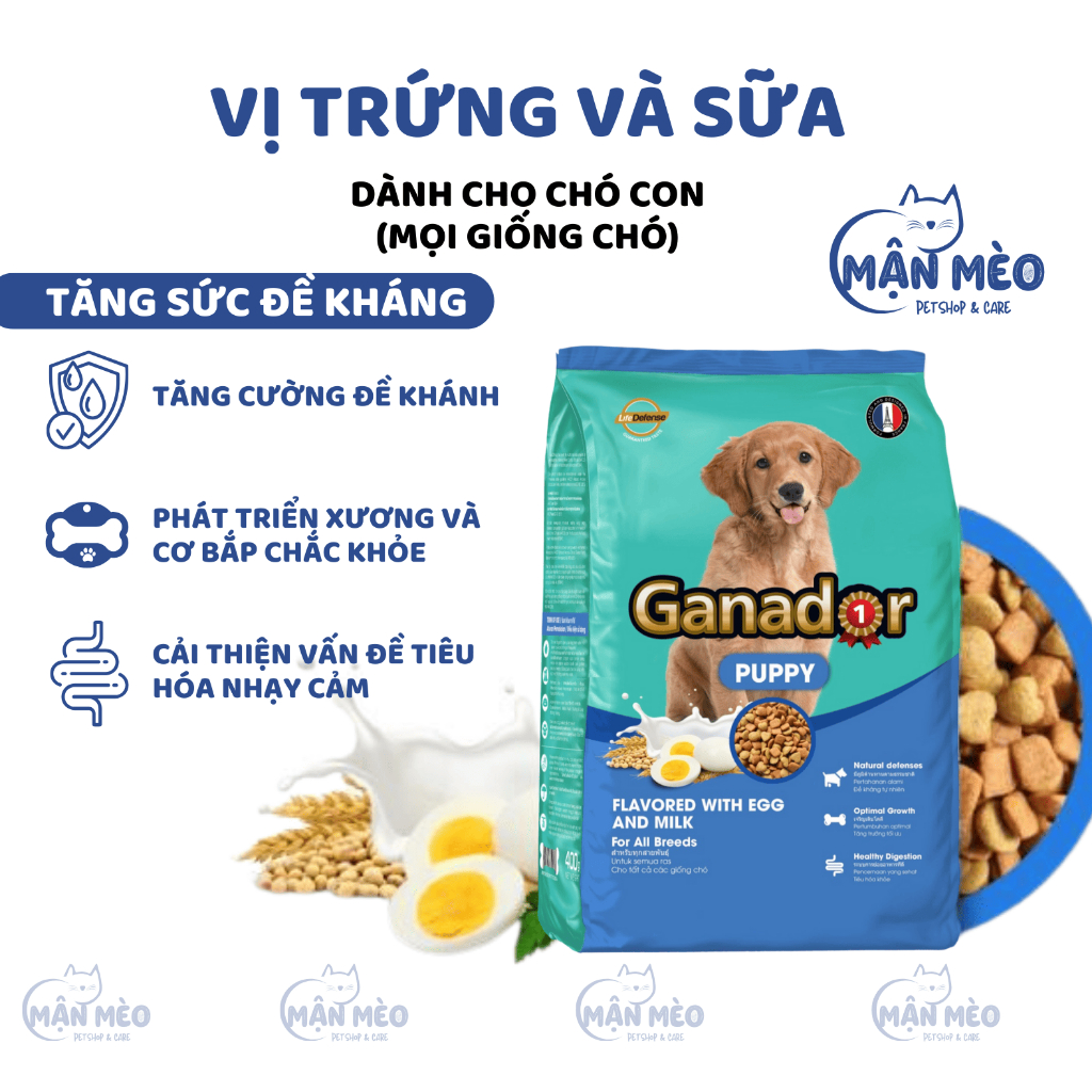 Hạt ganador cho chó gà nướng, dha, trứng sữa, cá hồi, cừu, bò nướng 3kg hỗ trợ tiêu hóa, xương chắc khỏe