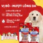 Xương thưởng VegeBones 60g cho Chó gặm sạch răng bổ sung dinh dưỡng, tăng cường hệ miễn dịch