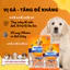 Xương thưởng VegeBones 60g cho Chó gặm sạch răng bổ sung dinh dưỡng, tăng cường hệ miễn dịch